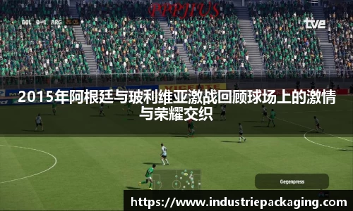 2015年阿根廷与玻利维亚激战回顾球场上的激情与荣耀交织